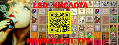 Альфа ПВП Кимры
