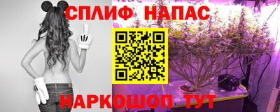 бутират Кингисепп