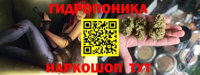 Альфа ПВП Кимры