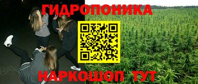 Альфа ПВП Кимры